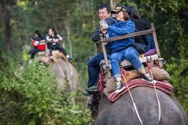 Rafting, Elephants & Jungle Fun